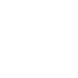 ページトップへ戻る